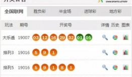 体彩今日爆料直播开奖结果,直播开奖结果揭晓，惊喜连连！”